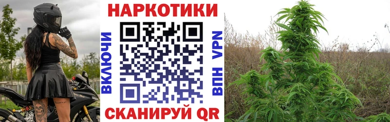 Купить закладку Каннабис  НБОМе  Гашиш  МЕФ  A PVP  Магас